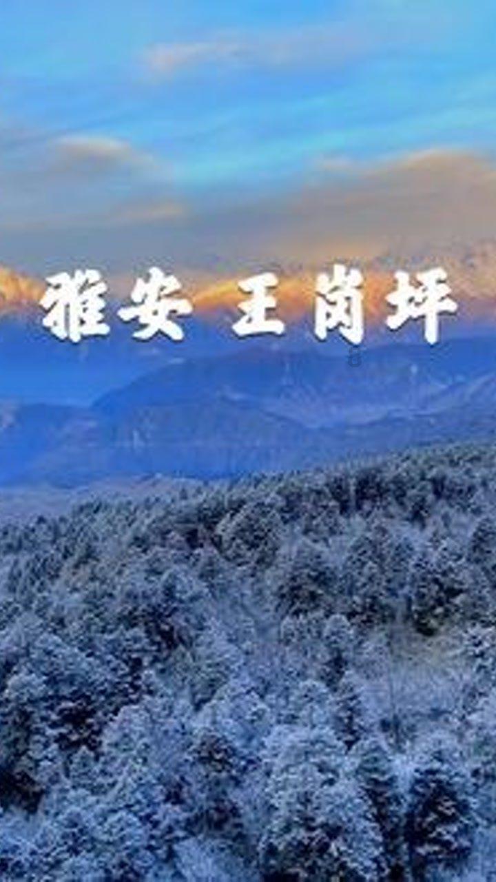 影视工厂