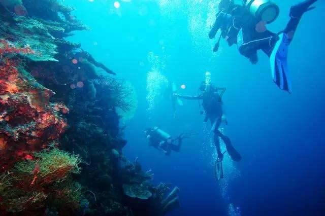 了解知识星球再次get“维纳斯”的美,开启知识分享之旅