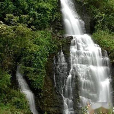 蓝狐视频